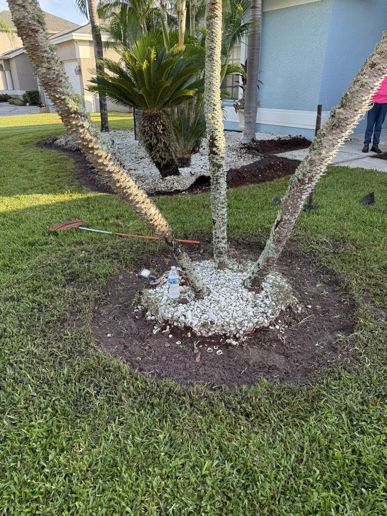 3A85B42E-09B1-4465-B152-D7E0CB34B9D7_1_105_c